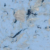 EV-31