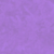 TN_030 FORTE